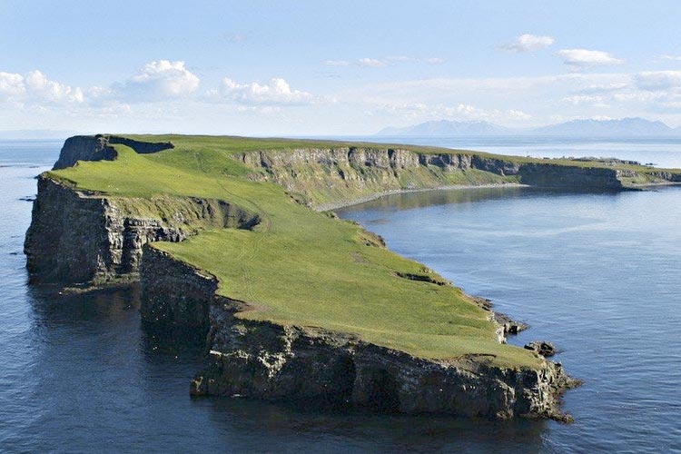 Puffin-grimsey-arctic-circle