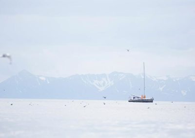 Arctic Gourmet Sea Angling