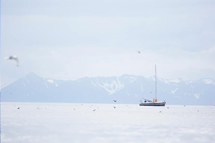 Arctic Gourmet Sea Angling