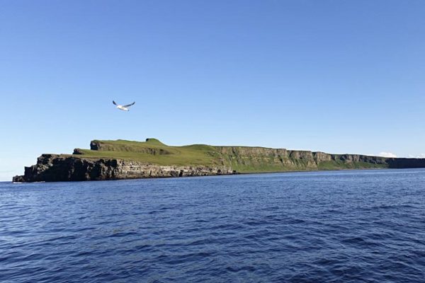 sea tour north iceland