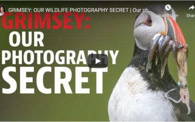 Photographing Grímsey